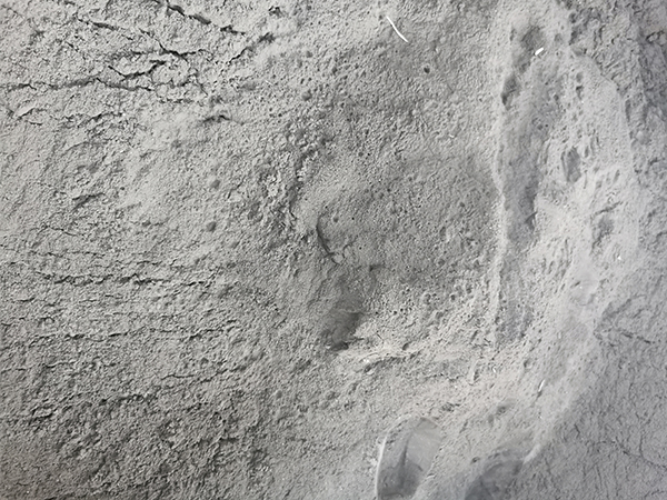 鈷粉回收廠家 收購(gòu)廢鈷價(jià)格 當(dāng)天行情咨詢